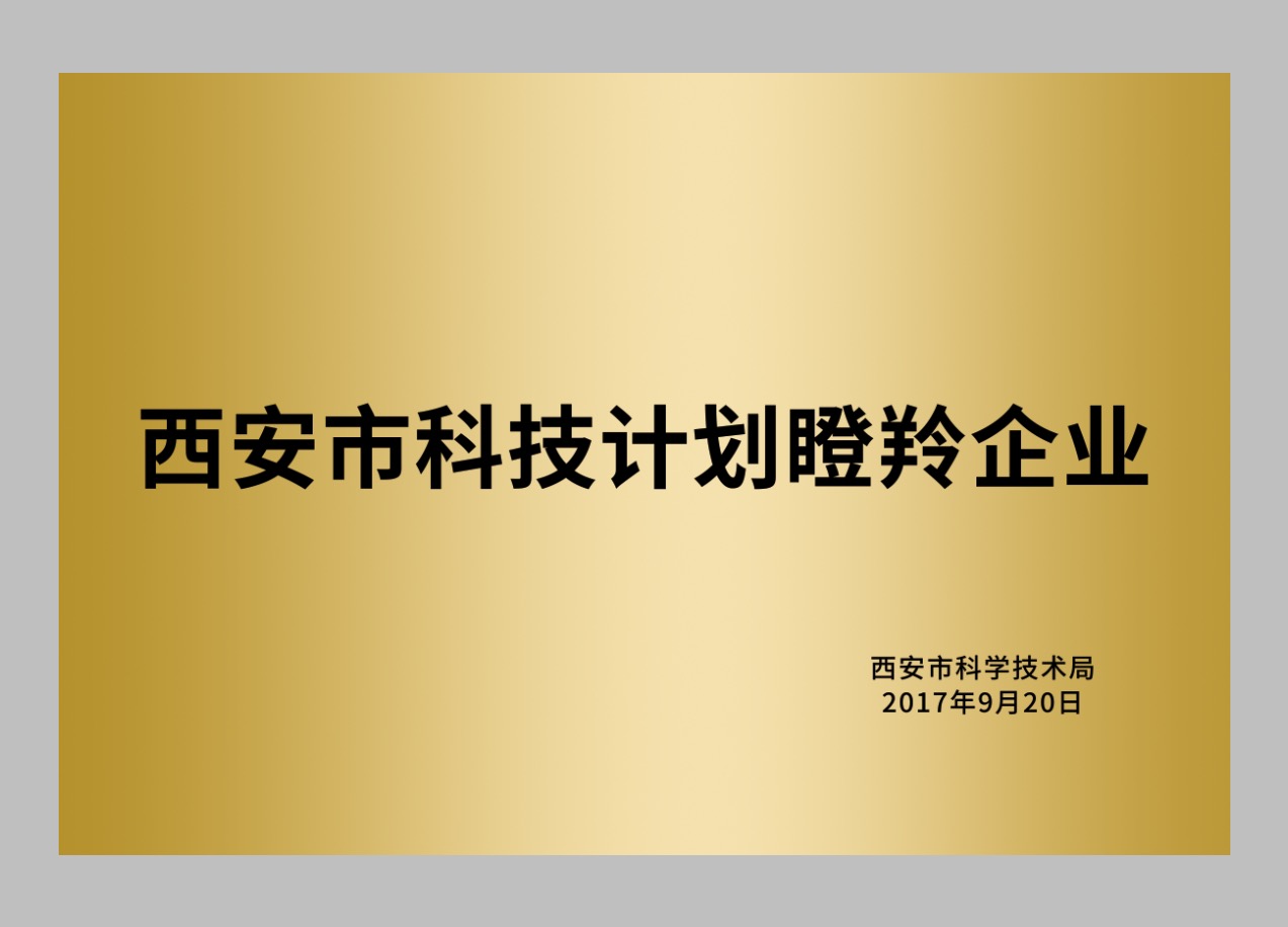 西安市科技计划瞪羚企业